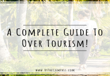 Best way to do Eco-conscious travel: A guide for beginners!