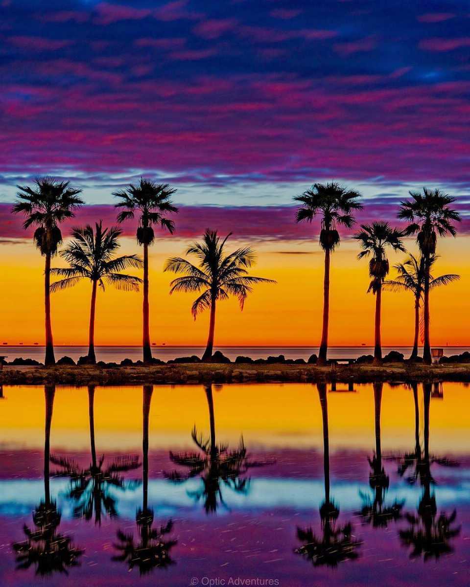 Catch a Stunning Sunrise Miami? Heres Where to Go!
