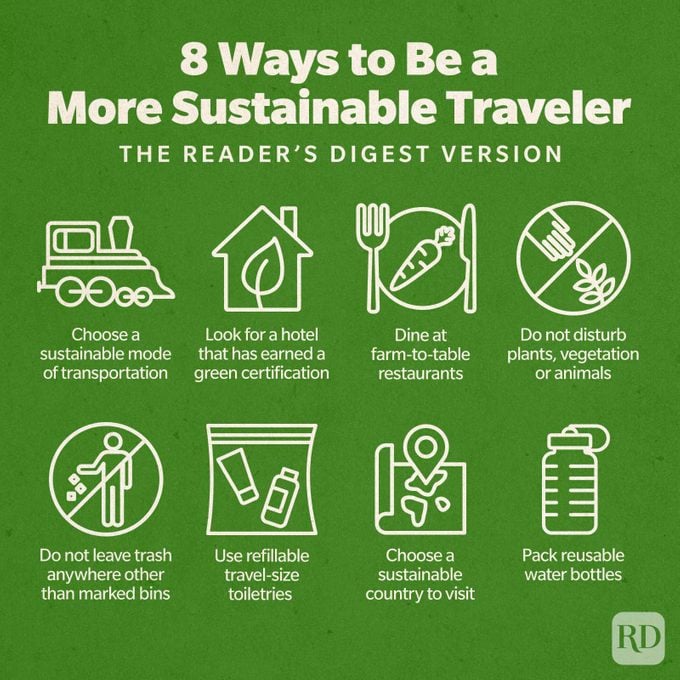 Eco-friendly tourism: how to travel green and save the planet easily?