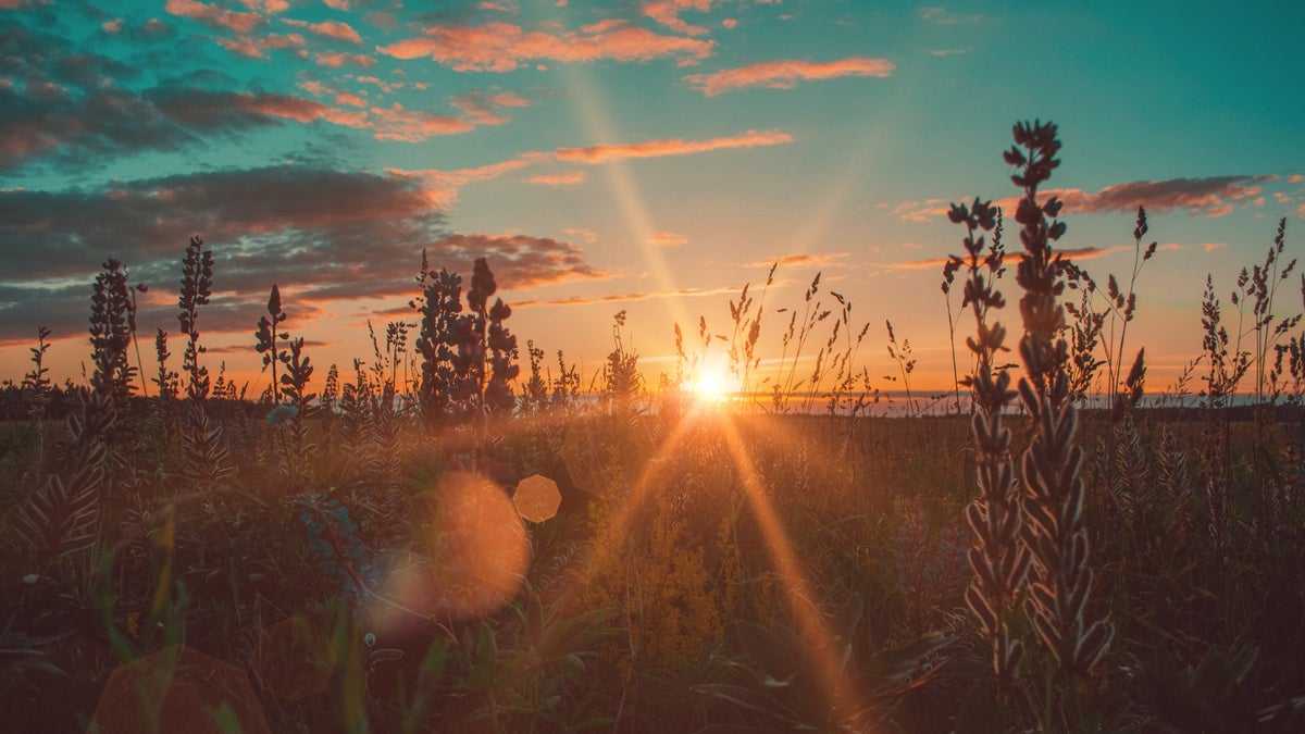 Best Ideas for Landscape Photography at Golden Hour: Capture the Magic Light