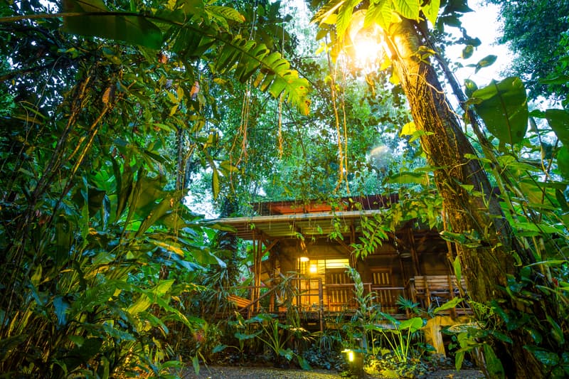 Eco-lodges: How to Find Them? Here is Your Guide to Green Getaways!