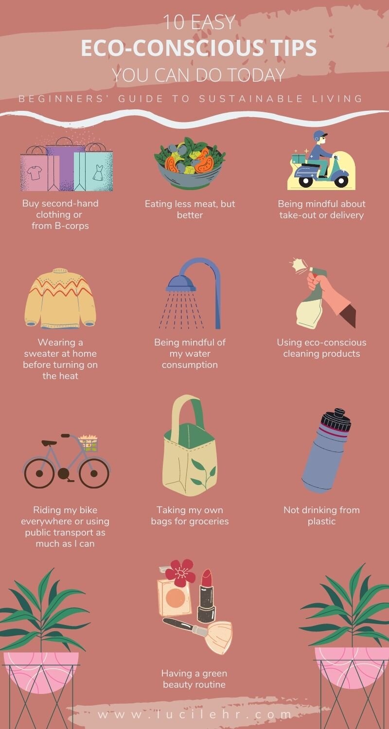 Best way to do Eco-conscious travel: A guide for beginners!