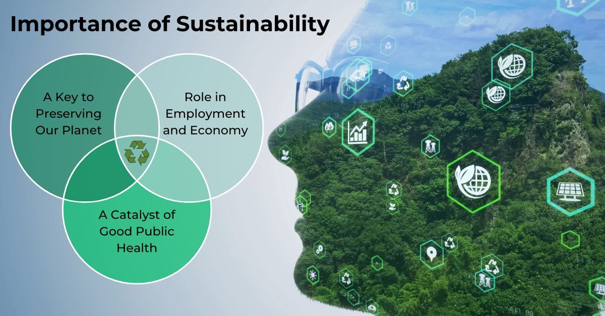 Environmental sustainability for companies (Why its important and how to get started)