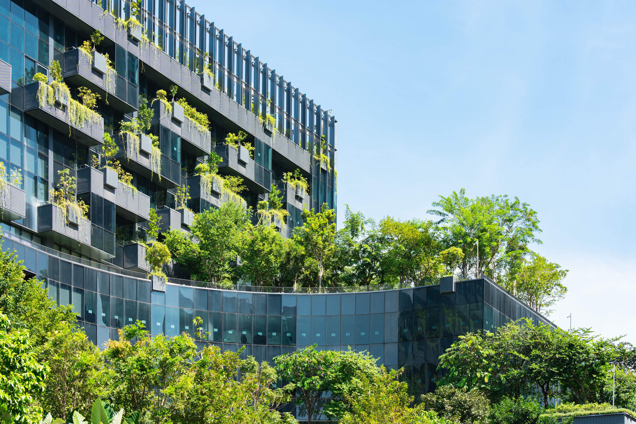 Green Hotels: Are They Worth It? Weighing the Pros and Cons for Travelers
