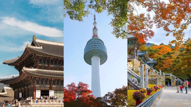 What are some popular places in South Korea for tourists? Find your next adventure.