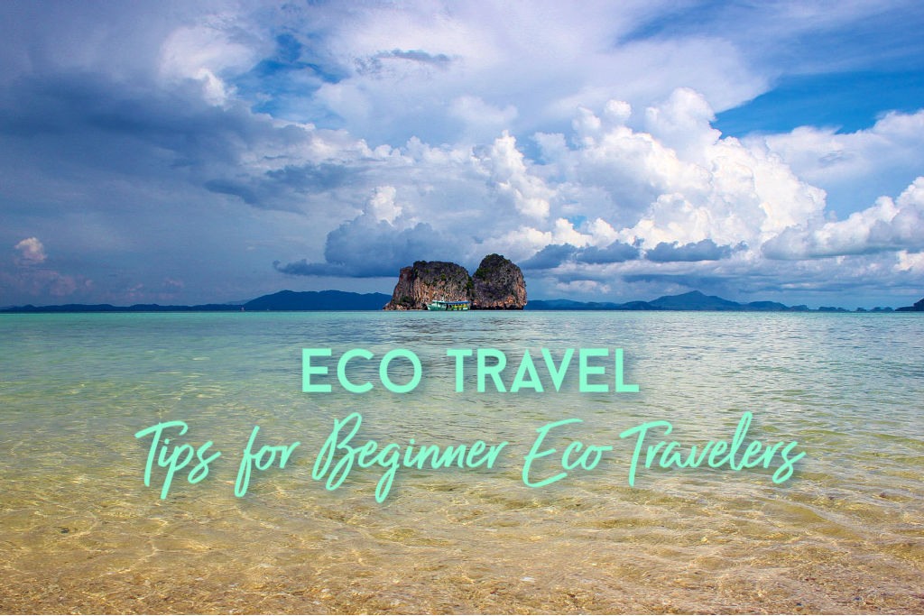 Best way to do Eco-conscious travel: A guide for beginners!