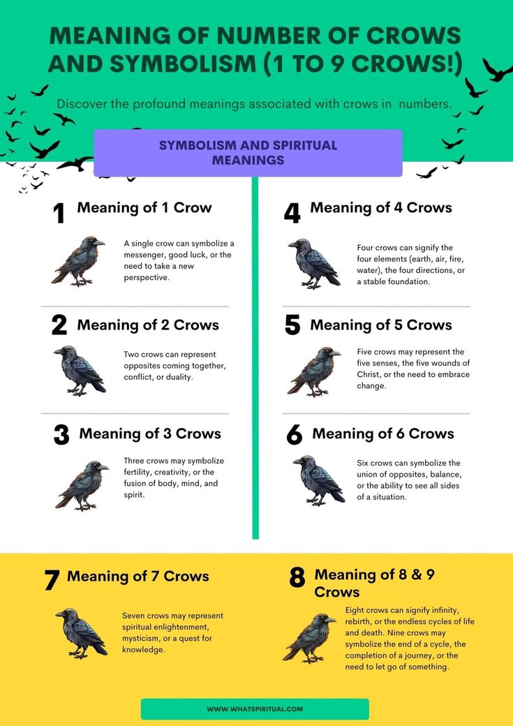 Meaning of Crows in Numbers: Here Are a Few Things You Should Know