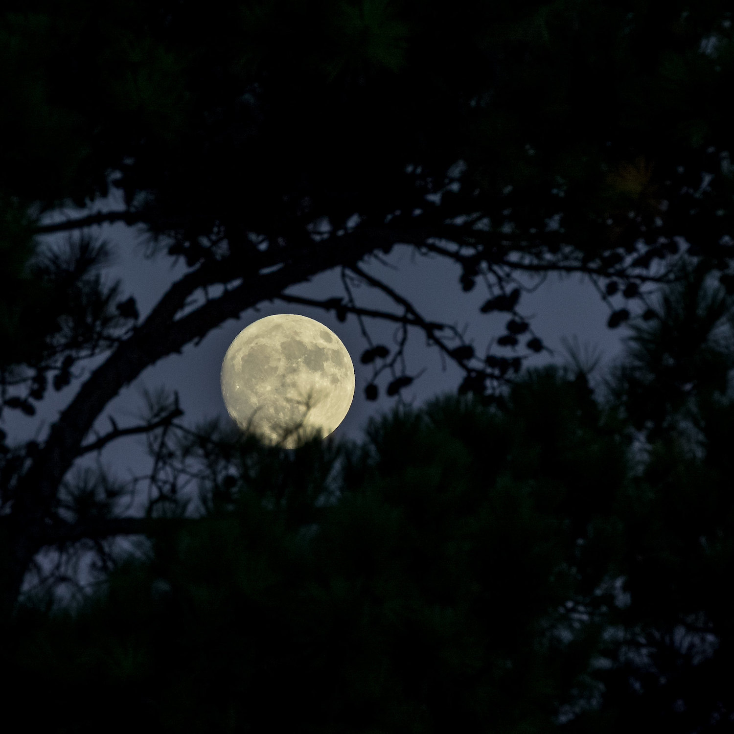 Add sky to moon photo adobe lightroom easily! Follow these tips to enhance your photos quickly!