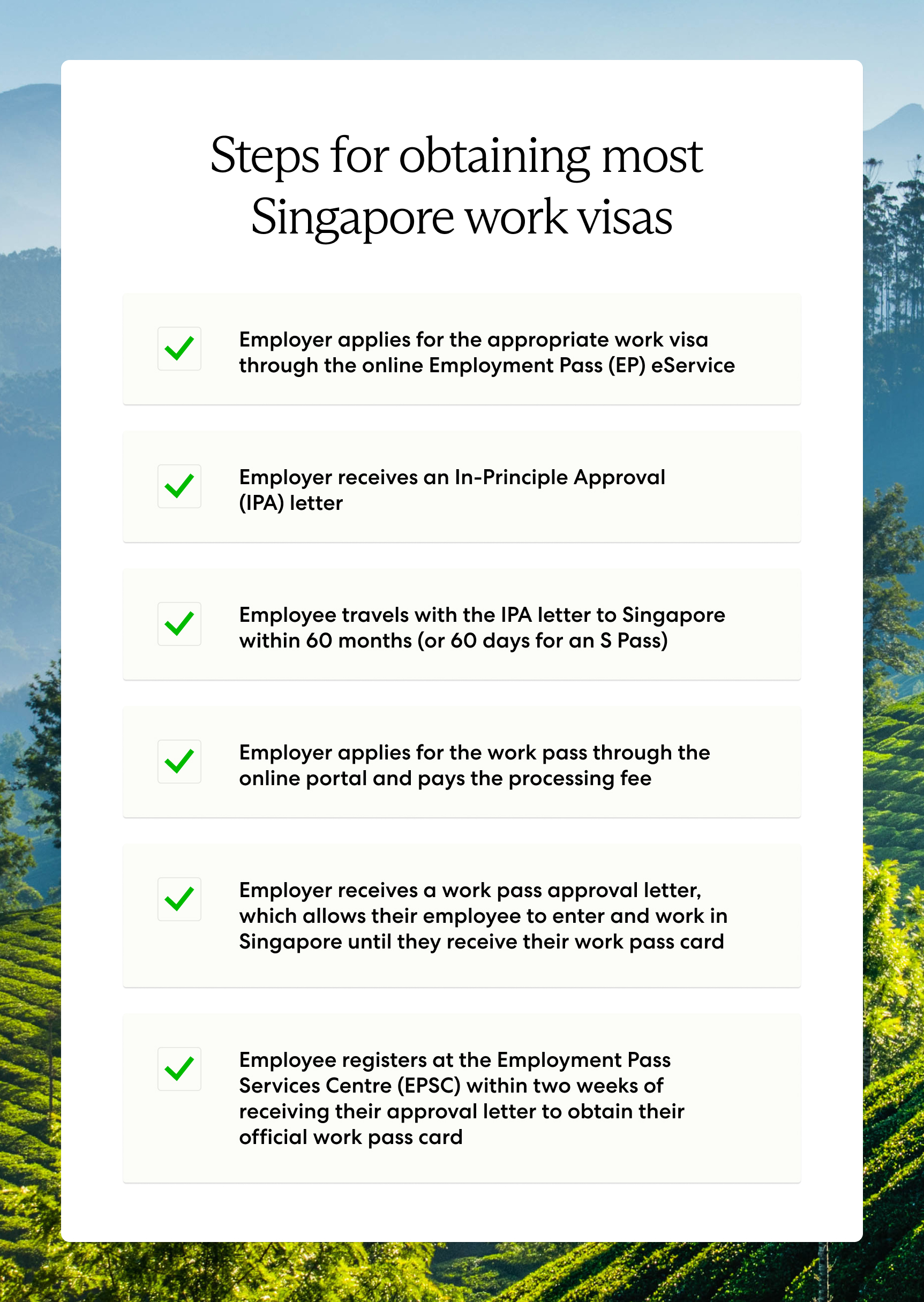 Working in Singapore: Your complete guide to apply for a work visa