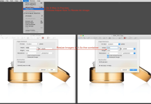 Photography Back Lighting Schematic: Pro Tips to Setup Your Lighting Like an Expert!