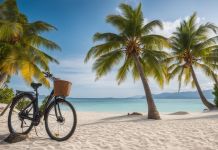 Affordable Sustainable Destinations: Travel Green Without Breaking the Bank