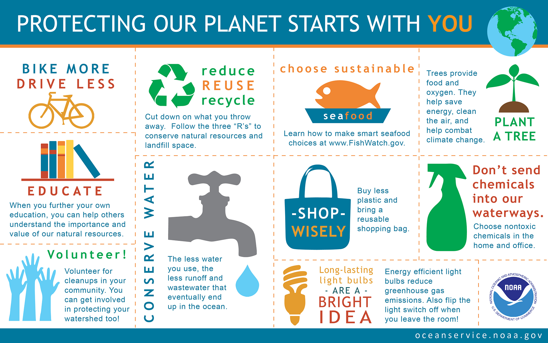 Conservation Efforts: Why They Matter and How to Get Involved Today!
