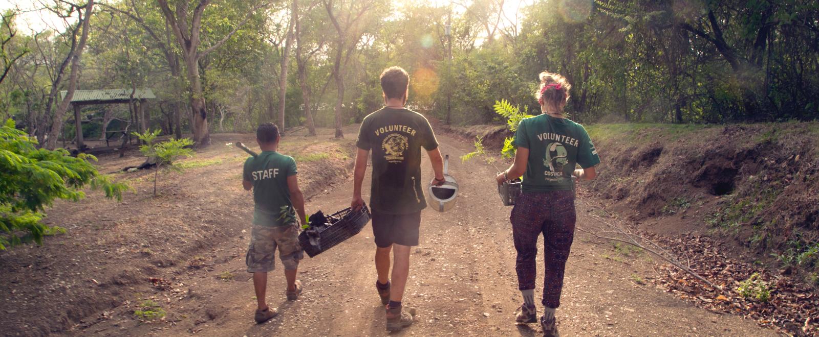 Conservation Efforts: Why They Matter and How to Get Involved Today!