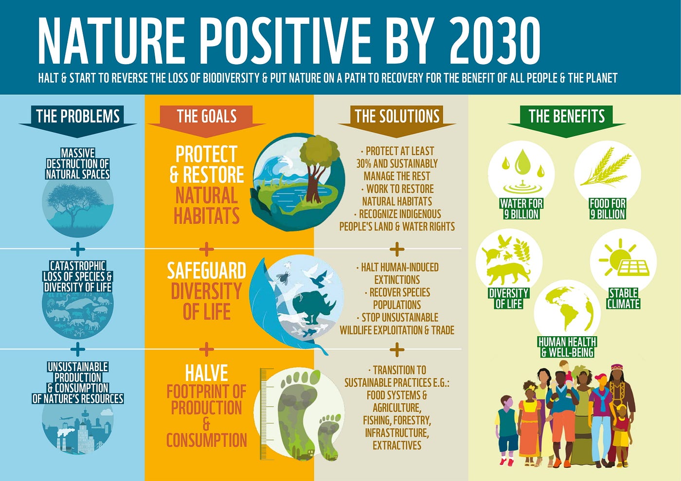Need Biodiversity Conservation Help? (These Easy Tips Will Help You Protect Wildlife)