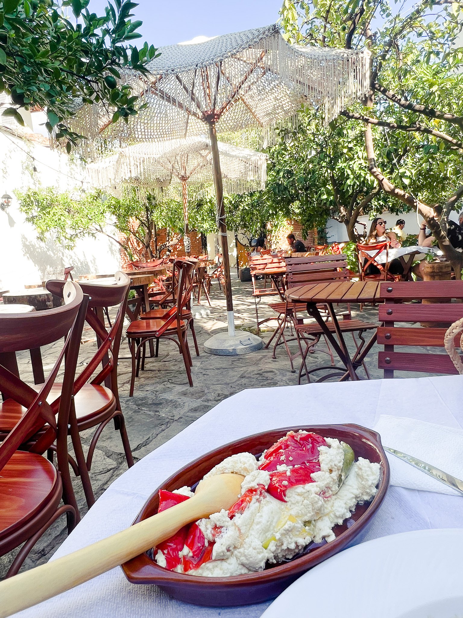 Where to Find the Best Albanian Cuisine? Top Restaurant Picks Here