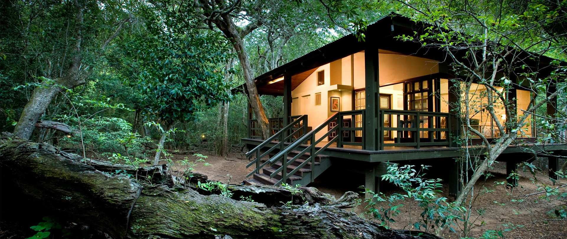 Eco-lodges: How to Find Them? Here is Your Guide to Green Getaways!