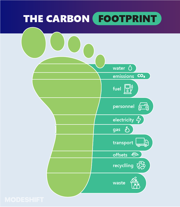 Carbon Footprint Explained: Simple Steps for a Greener Life!