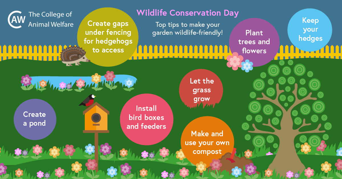 Wildlife conservation for beginners: Simple steps to make a difference!