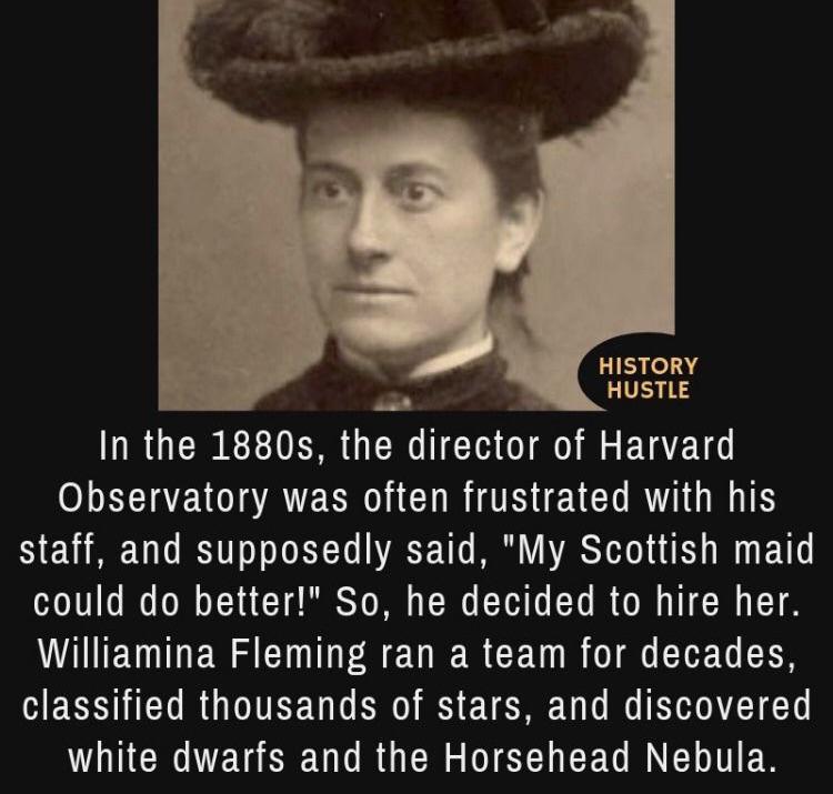 Scottish Maid Telescope: What Is It and Why Is It So Popular Right Now?