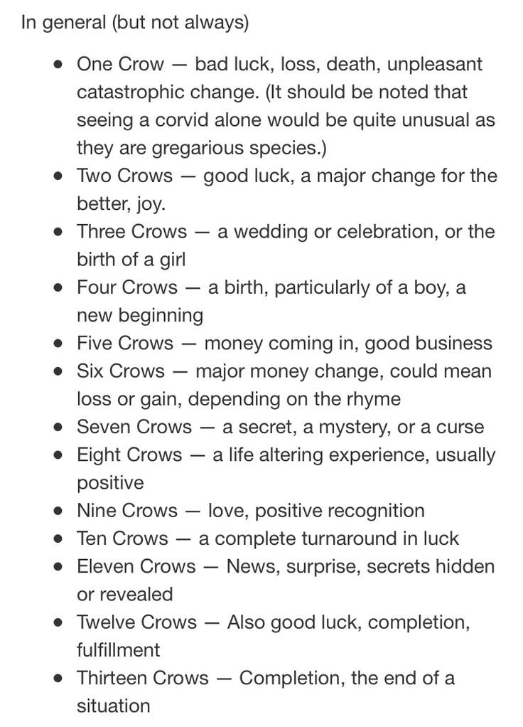 Meaning of Crows in Numbers: Here Are a Few Things You Should Know