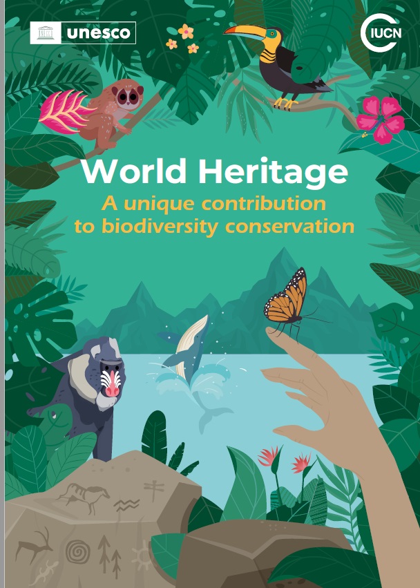 Why are natural heritage sites important? Discover their beauty and why we should protect them
