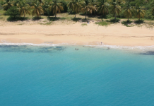 Loterie Farm: What to Expect (Your Guide to Fun in the Sun)