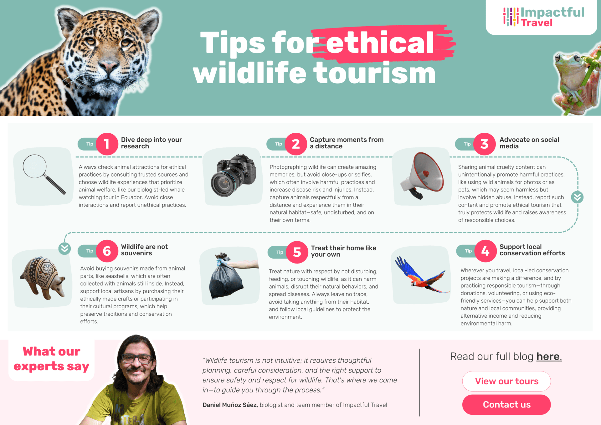 Wildlife-friendly travel tips: Avoid harmful activities, How to spot ethical sanctuaries, Simple steps to protect animals on your trips