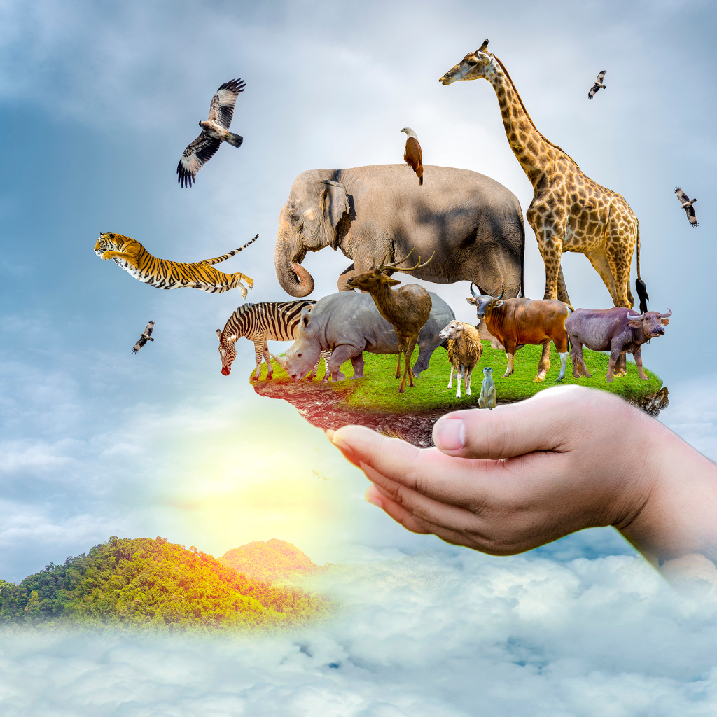 Ethical wildlife tourism: See animals happy & free!