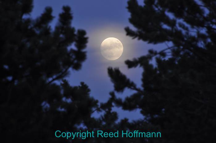 Photographing the Super Moon: Should I Use Filters? Find Out What Works Best!