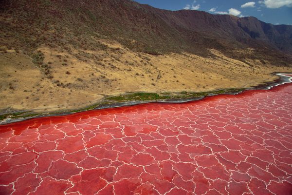 Things to Do in Tanzania: Find Top Attractions & Hidden Gems.