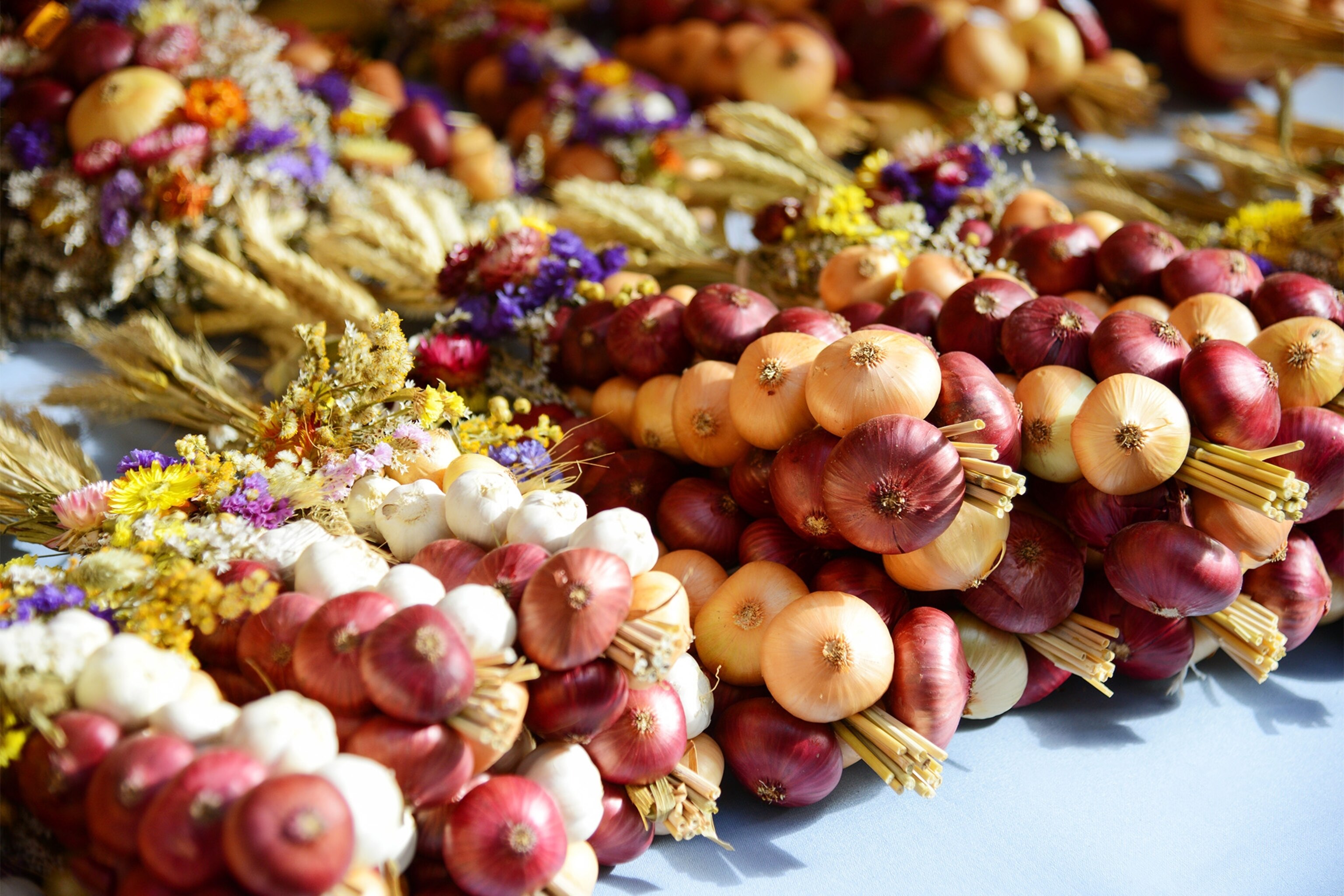 How to enjoy a unique harvest festival: Find the best events around Europe now.