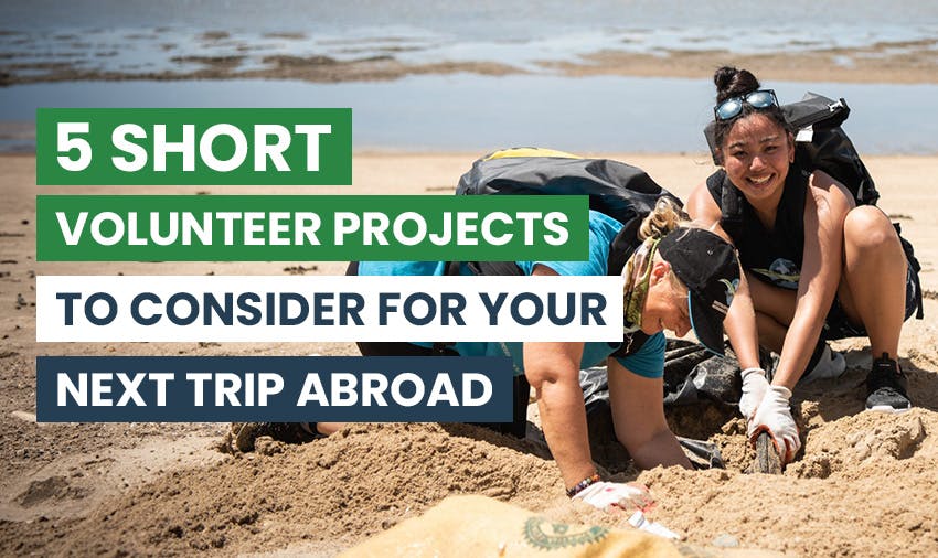 Volunteering abroad: How to find the perfect project for you.