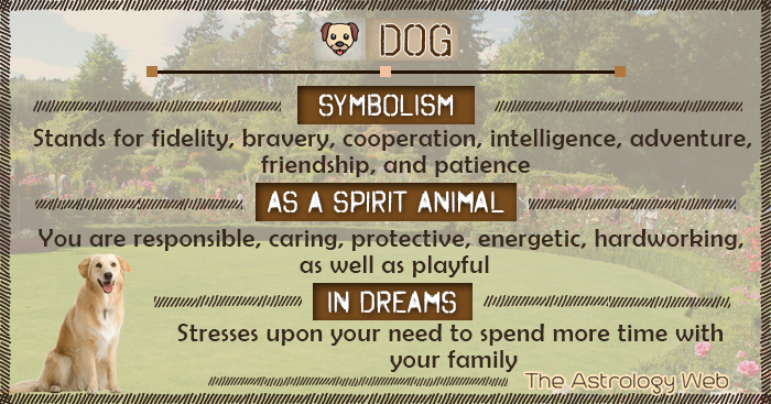 The meaning of dreaming of a dog,Interpreting Dog Symbolism in Dreams.