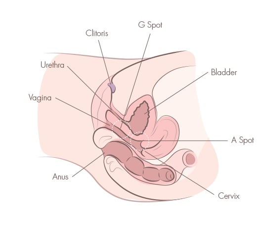 How to Make Myself Cum: Find Your Best Techniques for Self-Love