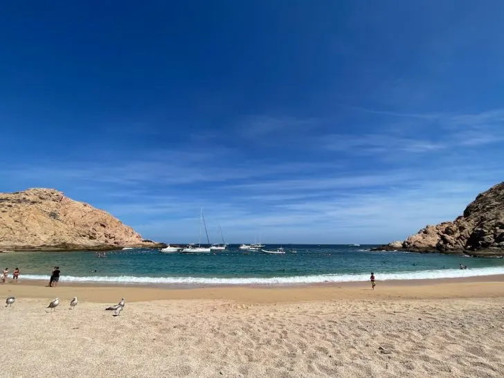 Beach Time in January? Whats the Weather Like in Cabo San Lucas, Mexico