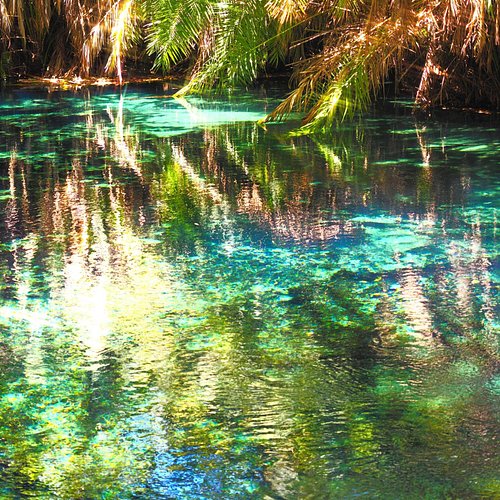 Things to Do in Tanzania: Find Top Attractions & Hidden Gems.