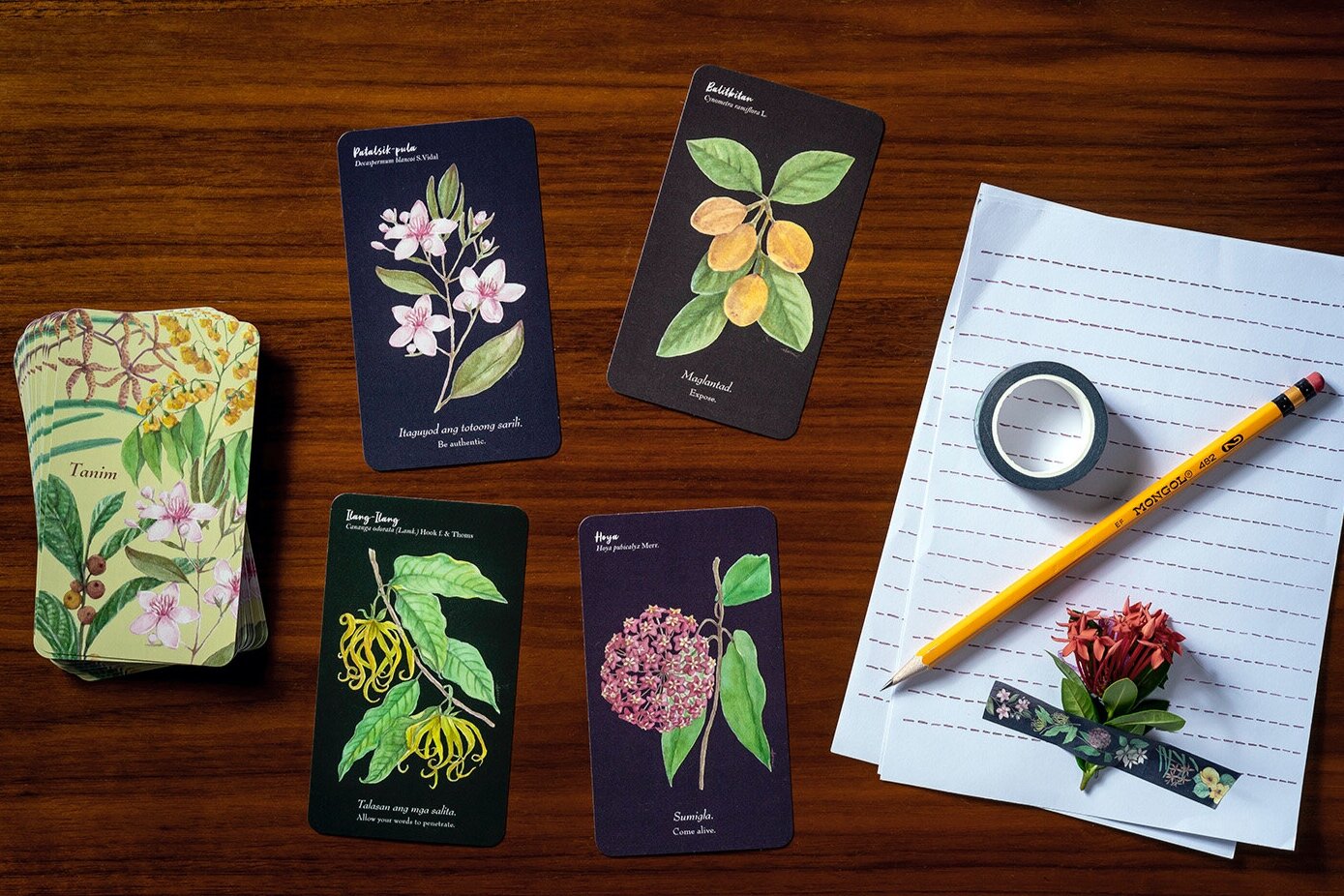 Choosing Your First Oracle Deck: A Simple Guide for Beginners!