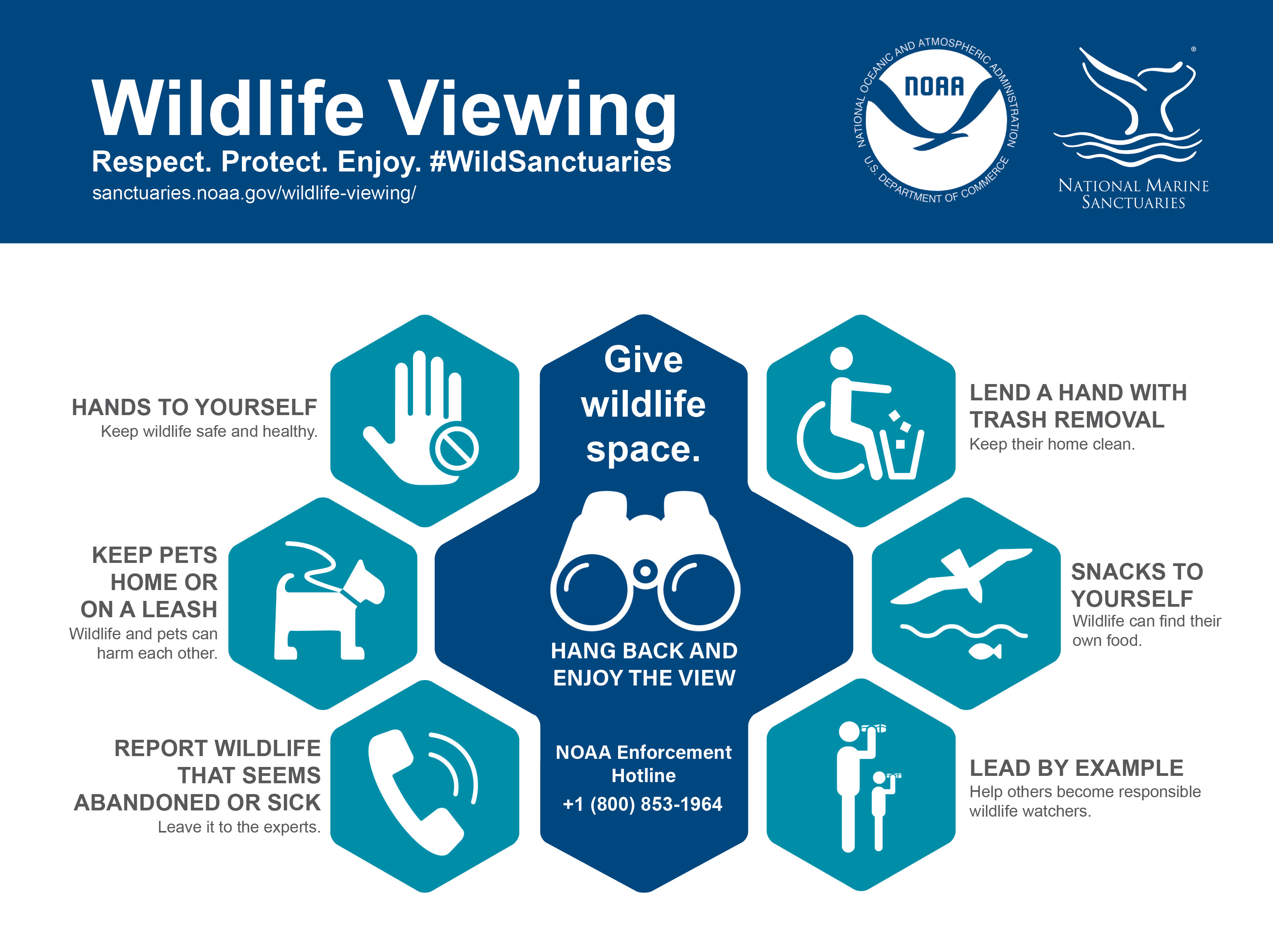 Wildlife-friendly travel tips: Avoid harmful activities, How to spot ethical sanctuaries, Simple steps to protect animals on your trips