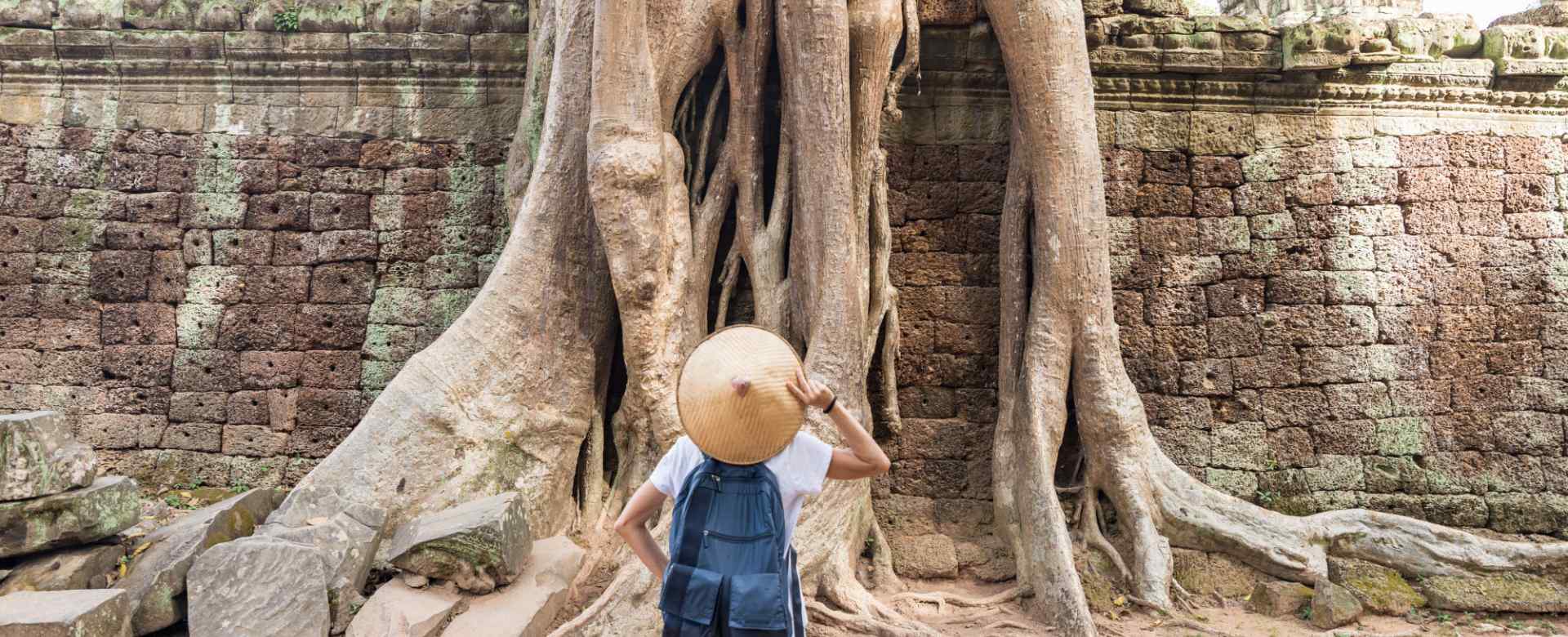 Ta Prohm Temple in Cambodia: A Photo Journey Through the Jungle Temple (Discover the Magic of Angkor Wat)