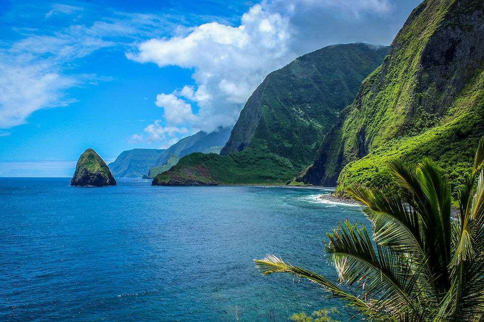 Visiting Kalaupapa Lookout? Your Guide to This Epic Spot!