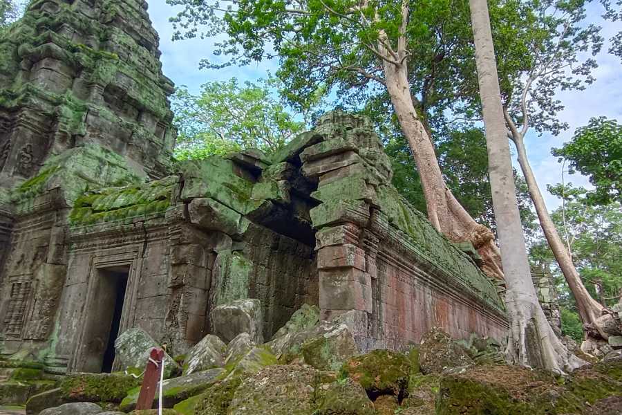 Ta Prohm Temple in Cambodia: A Photo Journey Through the Jungle Temple (Discover the Magic of Angkor Wat)