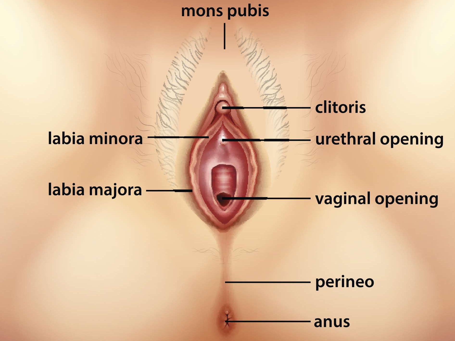 How to Give Oral to a Woman: Simple Tips and Tricks for Beginners