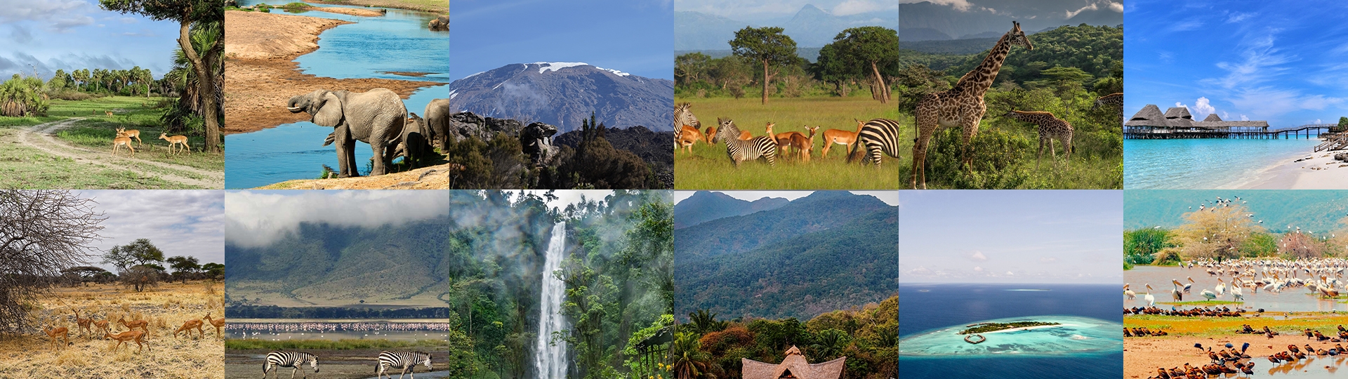 Things to Do in Tanzania: Find Top Attractions & Hidden Gems.