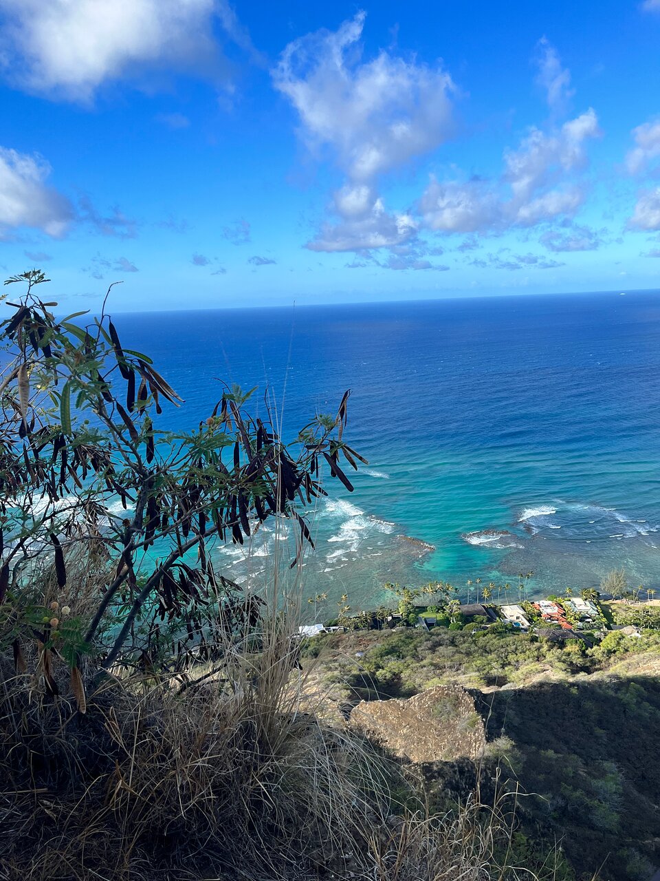 Explore Diamond Head Beach Park: Best Things to See and Do!