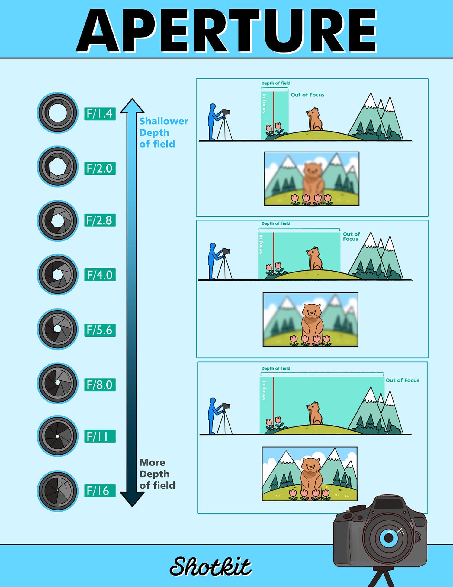 Aperture Wide Close: What Side Effects Youll See? A Beginners Guide to Lens Effects!