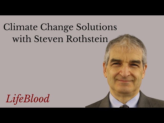 Who Is steven rothstein? Get the Facts Here!