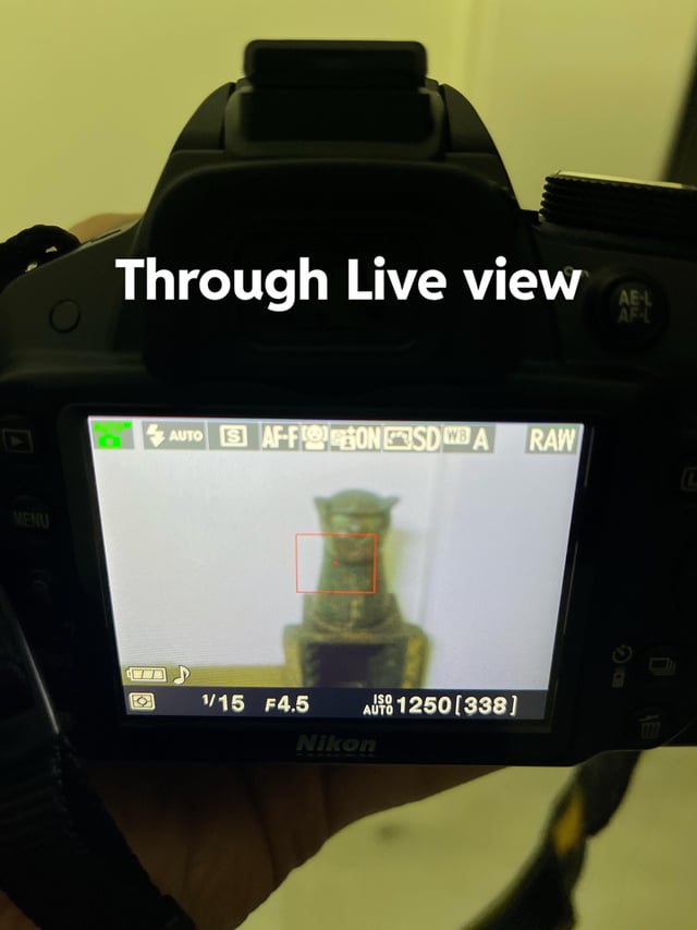 Nikon D3400: Viewfinder Fuzzy, Live View Clear? Common Problem Solved!