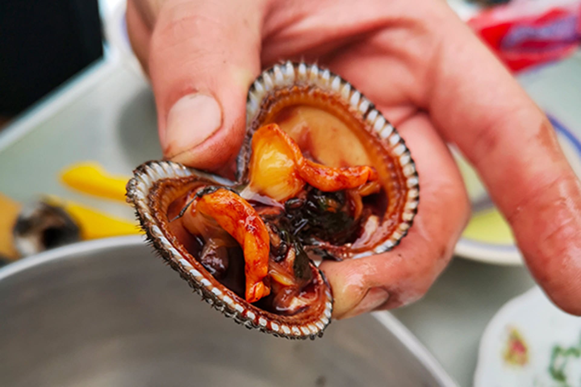Conchas Negras Price: The real Cost of black clams?