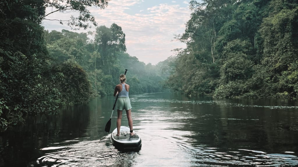 Trending Eco-tourism hotspots: Amazing places for eco travel.