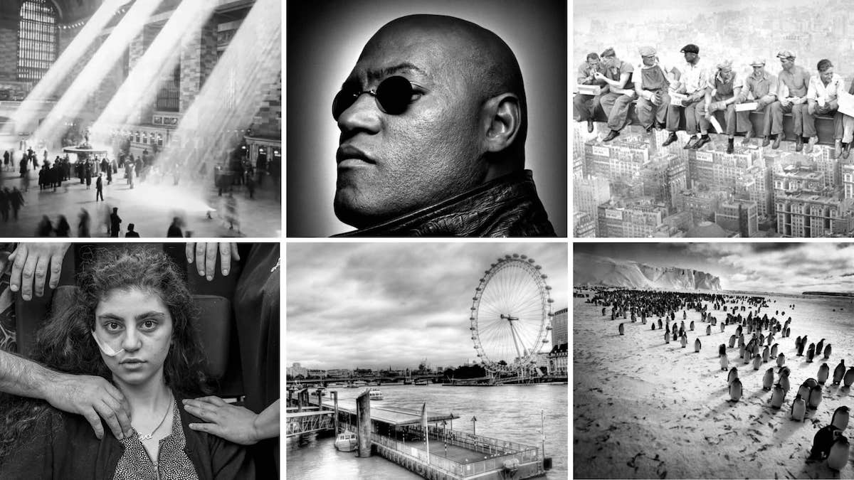 Find the Best Black and White Pictures: Top Sources Online!